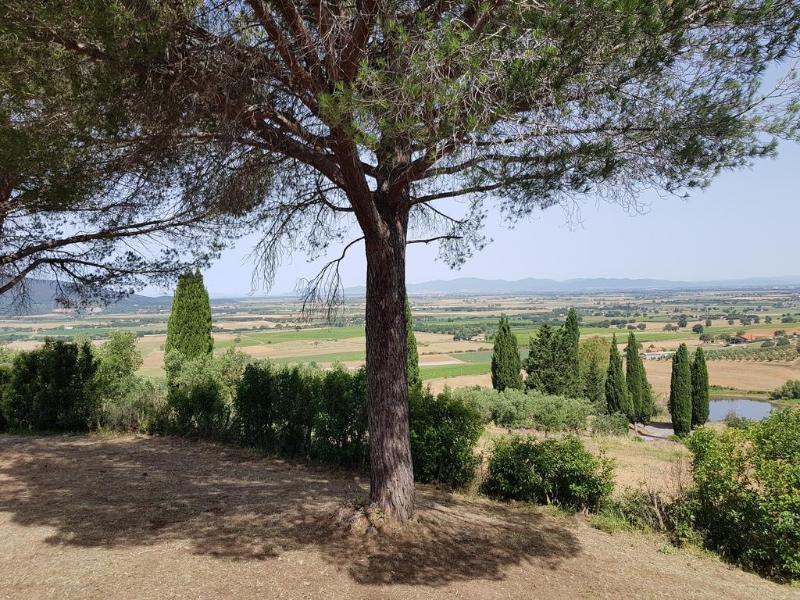 Vila Poggio Alto Agrioturismo Grosseto Exteriér fotografie